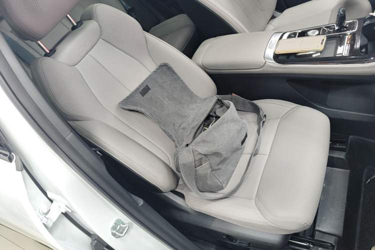 Used Geely Auto FX11 2025 4th Generation 1.5TD DCT - Shanhe Right Front Seat