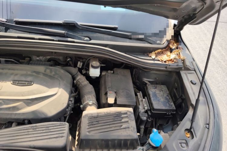 Used Geely Auto Haoyue 2020 1.8TD DCT Flagship 7-Seater Engine Bay Left