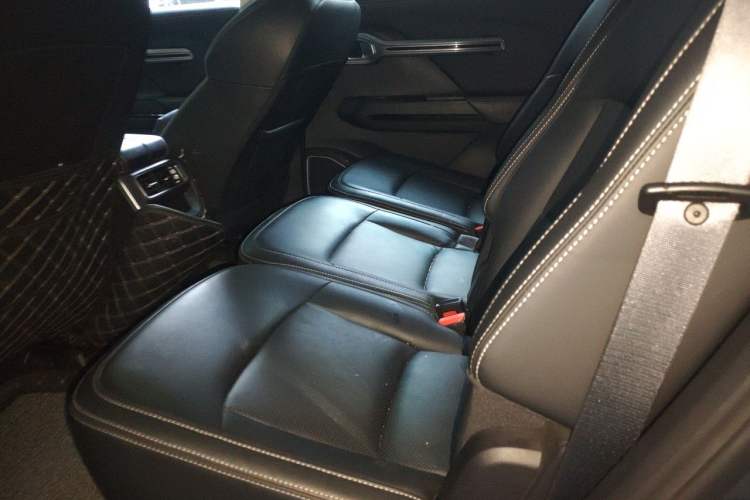 Used Geely Auto Haoyue 2020 1.8TD DCT Luxury 7-Seater Left Rear Seat