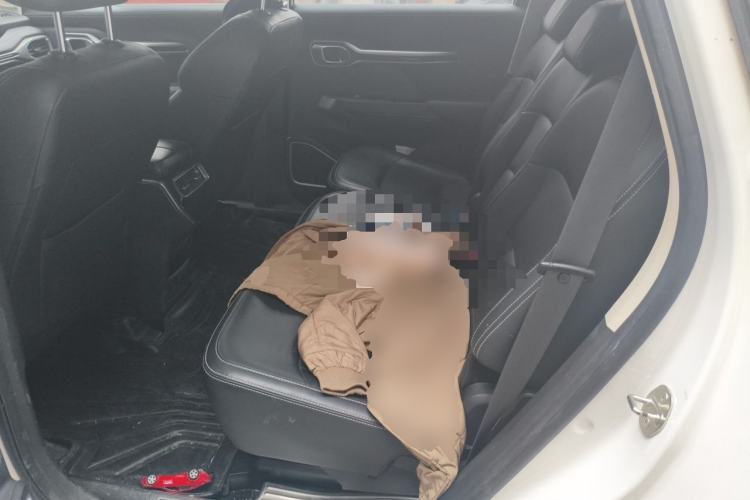 Used Geely Auto Haoyue 2020 1.8TD DCT Flagship 7-Seater Left Rear Seat