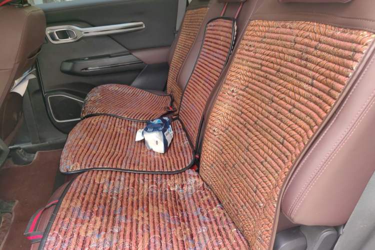 Used Geely Auto Haoyue 2022 1.8TD DCT Luxury 7-Seater Left Rear Seat