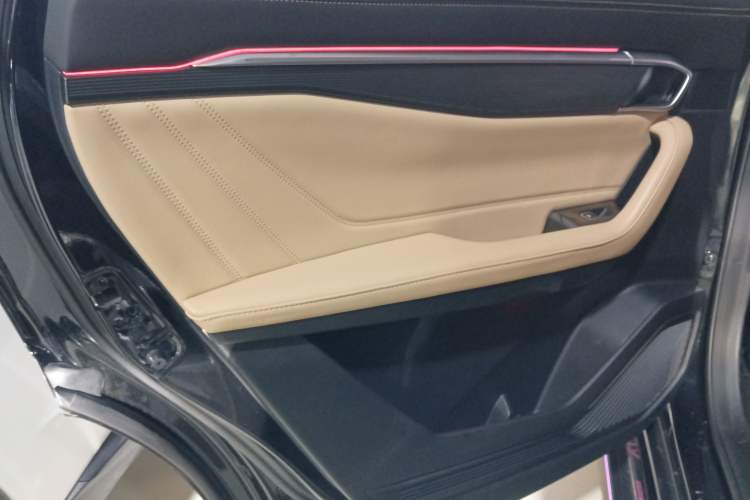 Used Geely Auto Haoyue L 2023 2.0T DCT Flagship Version Left Rear Door Interior
