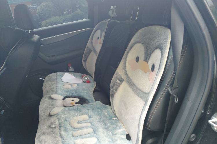 Used Geely Auto Haoyue L 2023 2.0T DCT Prestige Edition Left Rear Seat