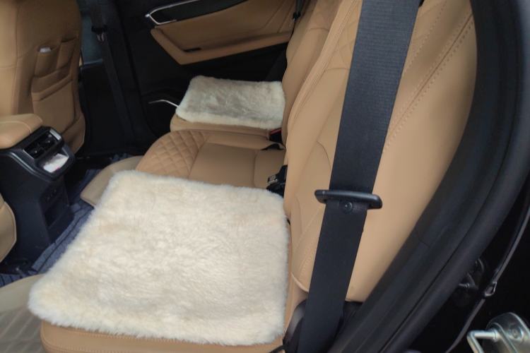 Used Geely Auto Haoyue L 2023 2.0T DCT Flagship Version Left Rear Seat