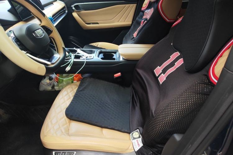Used Geely Auto Haoyue L 2023 2.0T DCT Flagship Version Left Front Seat