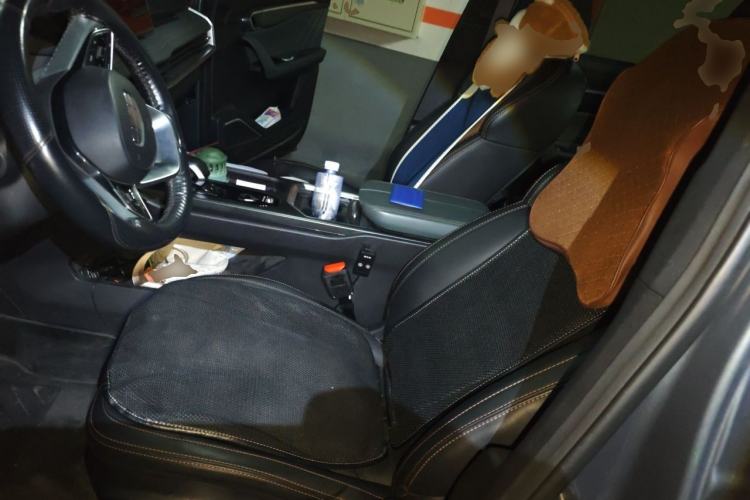 Used Geely Auto Haoyue L 2023 2.0T DCT Prestige Edition Left Front Seat