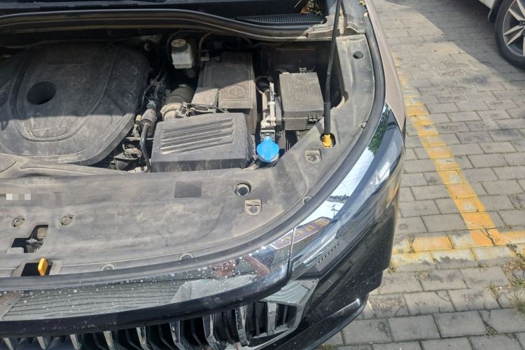 Used Geely Auto Haoyue L 2023 2.0T DCT Prestige Edition Engine Bay Left