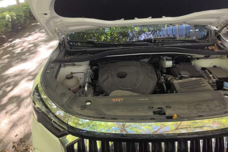Used Geely Auto Haoyue L 2023 2.0T DCT Prestige Edition Engine Bay Right