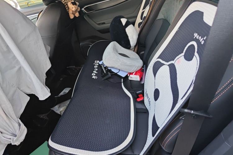 Used Geely Auto Haoyue L 2023 2.0T DCT Prestige Edition Left Rear Seat