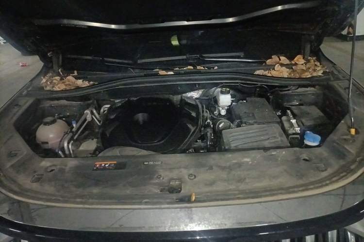 Used Geely Auto Haoyue L 2024 2.0T DCT Prestige Version Engine Bay