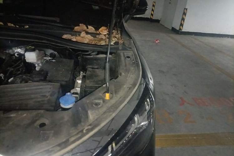 Used Geely Auto Haoyue L 2024 2.0T DCT Prestige Version Engine Bay Left