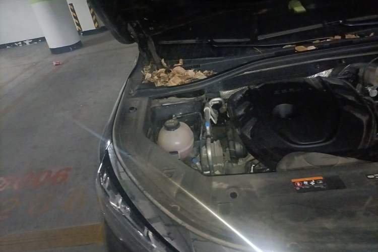 Used Geely Auto Haoyue L 2024 2.0T DCT Prestige Version Engine Bay Right