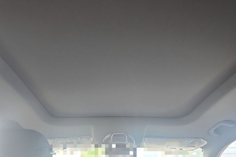 Used Geely Auto Haoyue L 2024 2.0T DCT Prestige Version Headliner
