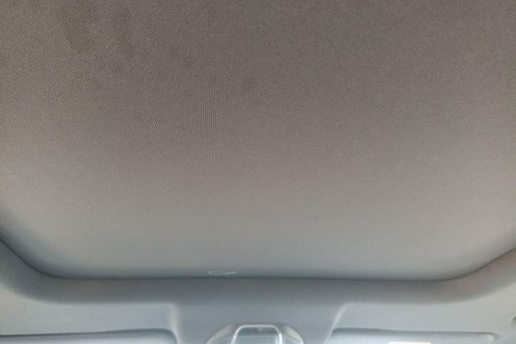 Used Geely Auto Haoyue L 2024 2.0T DCT Prestige Version Headliner