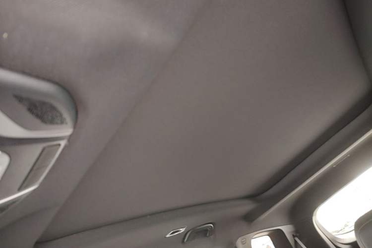 Used Geely Auto Haoyue L 2024 2.0T DCT Prestige Version Headliner