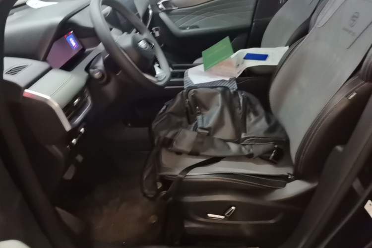 Used Geely Auto Haoyue L 2024 2.0T DCT Prestige Version Left Front Seat