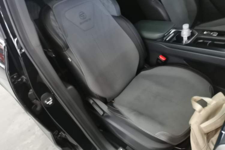 Used Geely Auto Haoyue L 2024 2.0T DCT Prestige Version Right Front Seat
