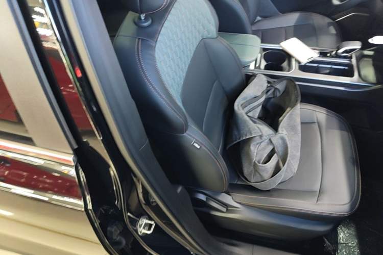 Used Geely Auto Haoyue L 2024 2.0T DCT Prestige Version Right Front Seat