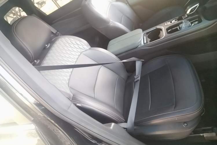 Used Geely Auto Haoyue L 2024 2.0T DCT Prestige Version Right Front Seat