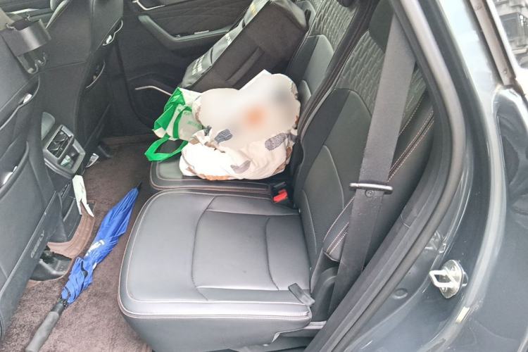 Used Geely Auto Haoyue L 2024 2.0T DCT Flagship Version Left Rear Seat