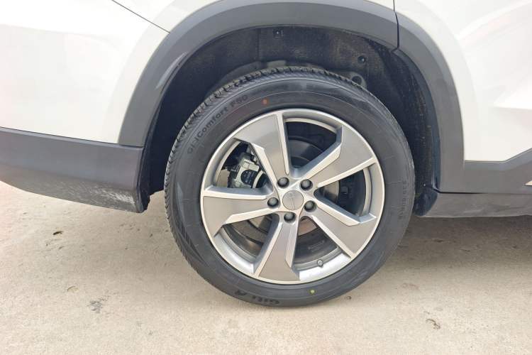 Used Geely Auto Haoyue L 2024 2.0T DCT Prestige Version Exterior 5