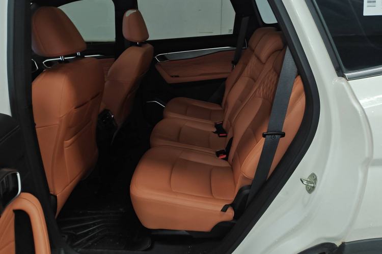 Used Geely Auto Haoyue L 2024 2.0T DCT Flagship Version Left Rear Seat