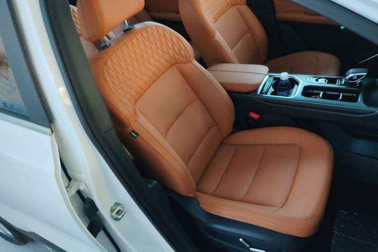 Used Geely Auto Haoyue L 2024 2.0T DCT Flagship Version Right Front Seat
