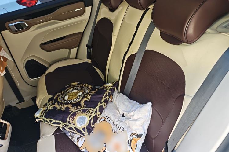 Used Geely Auto icon 2020 1.5TD i9 BSG Left Rear Seat