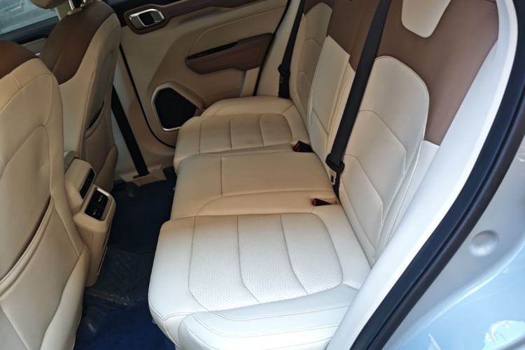 Used Geely Auto icon 2020 300T Galaxy Limited Edition Left Rear Seat