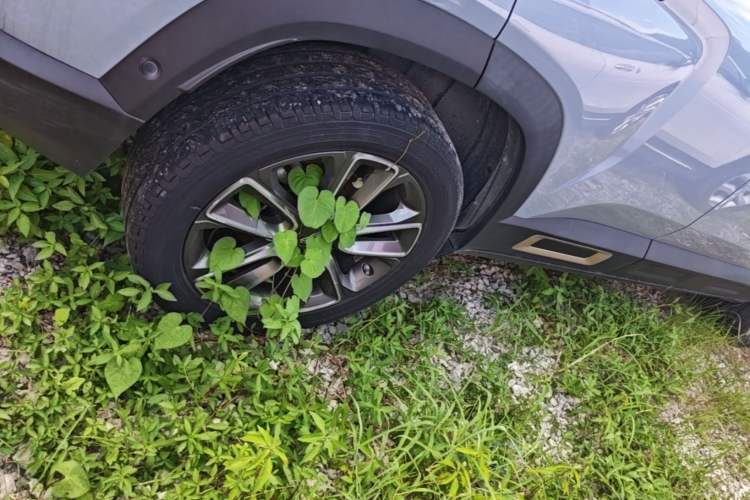 Used Geely Auto icon 2020 1.5TD i9 BSG Right Rear Wheel Hub