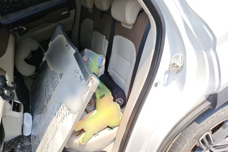 Used Geely Auto icon 2020 1.5TD i9 BSG Left Rear Seat