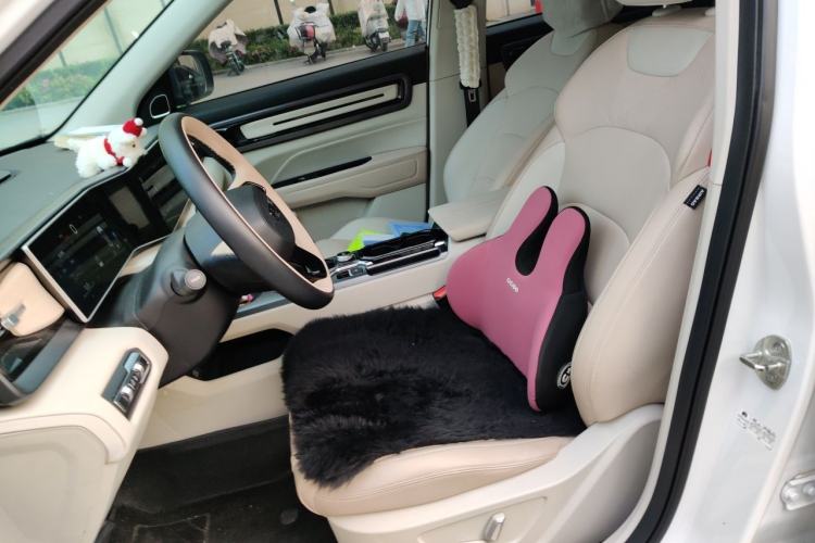 Used Geely Auto icon 2022 1.5TD Qingyuan Limited Edition Left Front Seat