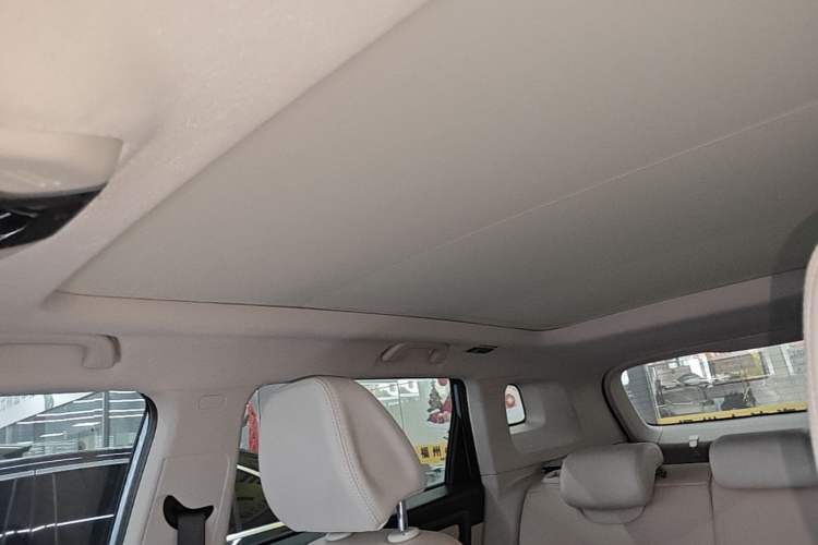 Used Geely Auto icon 2023 1.5TD Chocolate Smoothie Edition Headliner