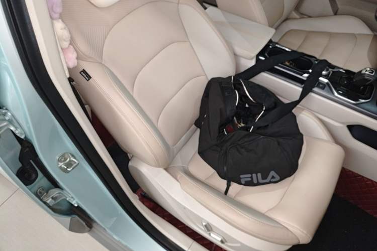 Used Geely Auto icon 2023 1.5TD Chocolate Luxe Edition Right Front Seat