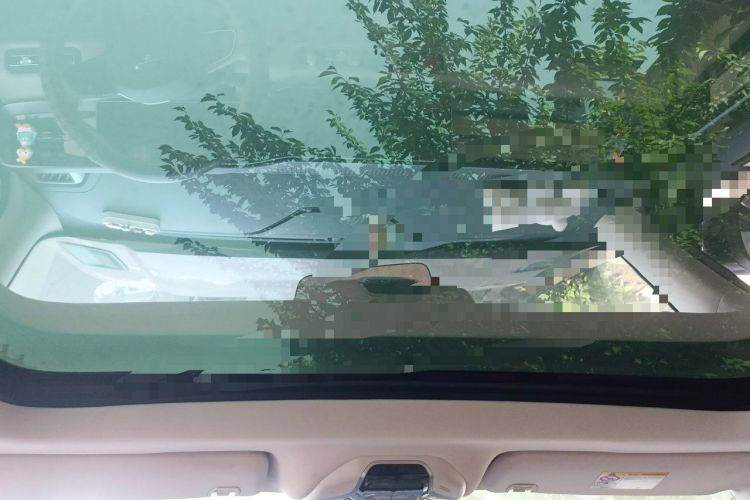 Used Geely Auto icon 2023 1.5TD Chocolate Smoothie Edition Headliner
