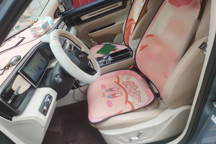 Used Geely Auto icon 2023 1.5TD Chocolate Luxe Edition Left Front Seat