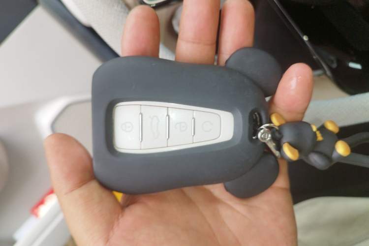 Used Geely Auto icon 2023 1.5TD Chocolate Luxe Edition Vehicle Key