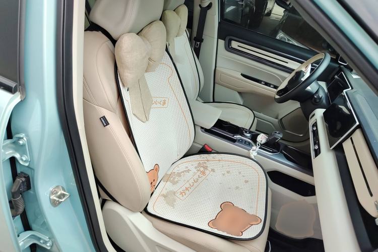 Used Geely Auto icon 2023 1.5TD Chocolate Luxe Edition Right Front Seat