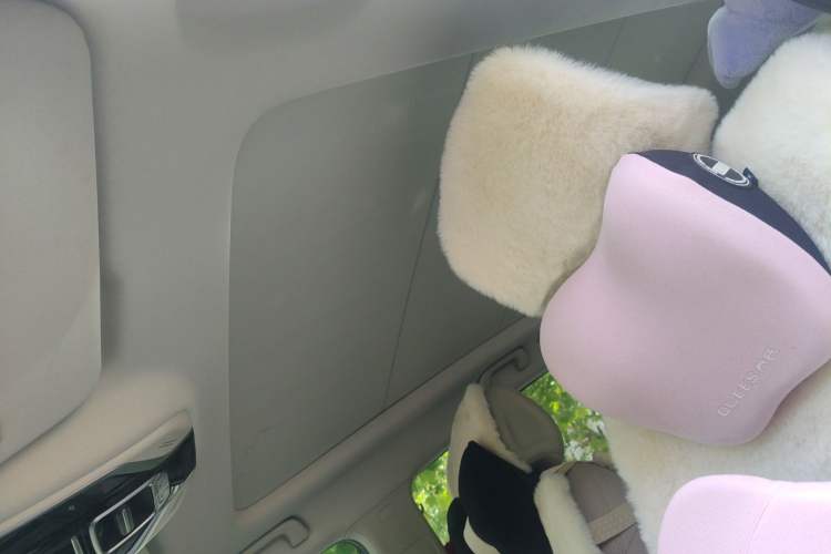 Used Geely Auto icon 2023 1.5TD Chocolate Smoothie Edition Headliner