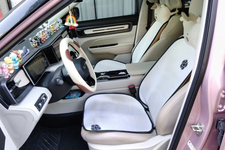 Used Geely Auto icon 2023 1.5TD Chocolate Smoothie Edition Left Front Seat