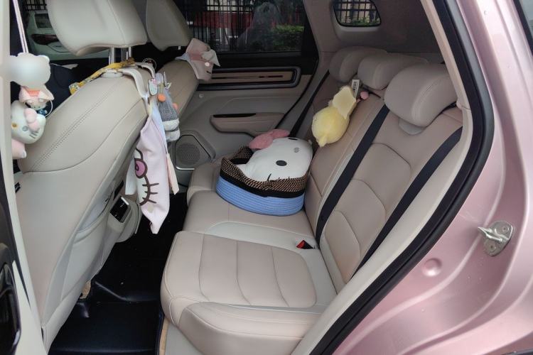 Used Geely Auto icon 2023 1.5TD Chocolate Luxe Edition Left Rear Seat