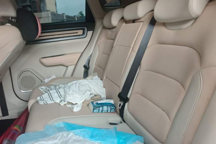 Used Geely Auto icon 2023 1.5TD Chocolate Luxe Edition Left Rear Seat