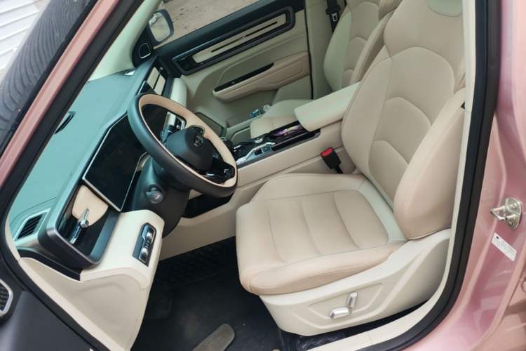 Used Geely Auto icon 2023 1.5TD Chocolate Smoothie Edition Left Front Seat