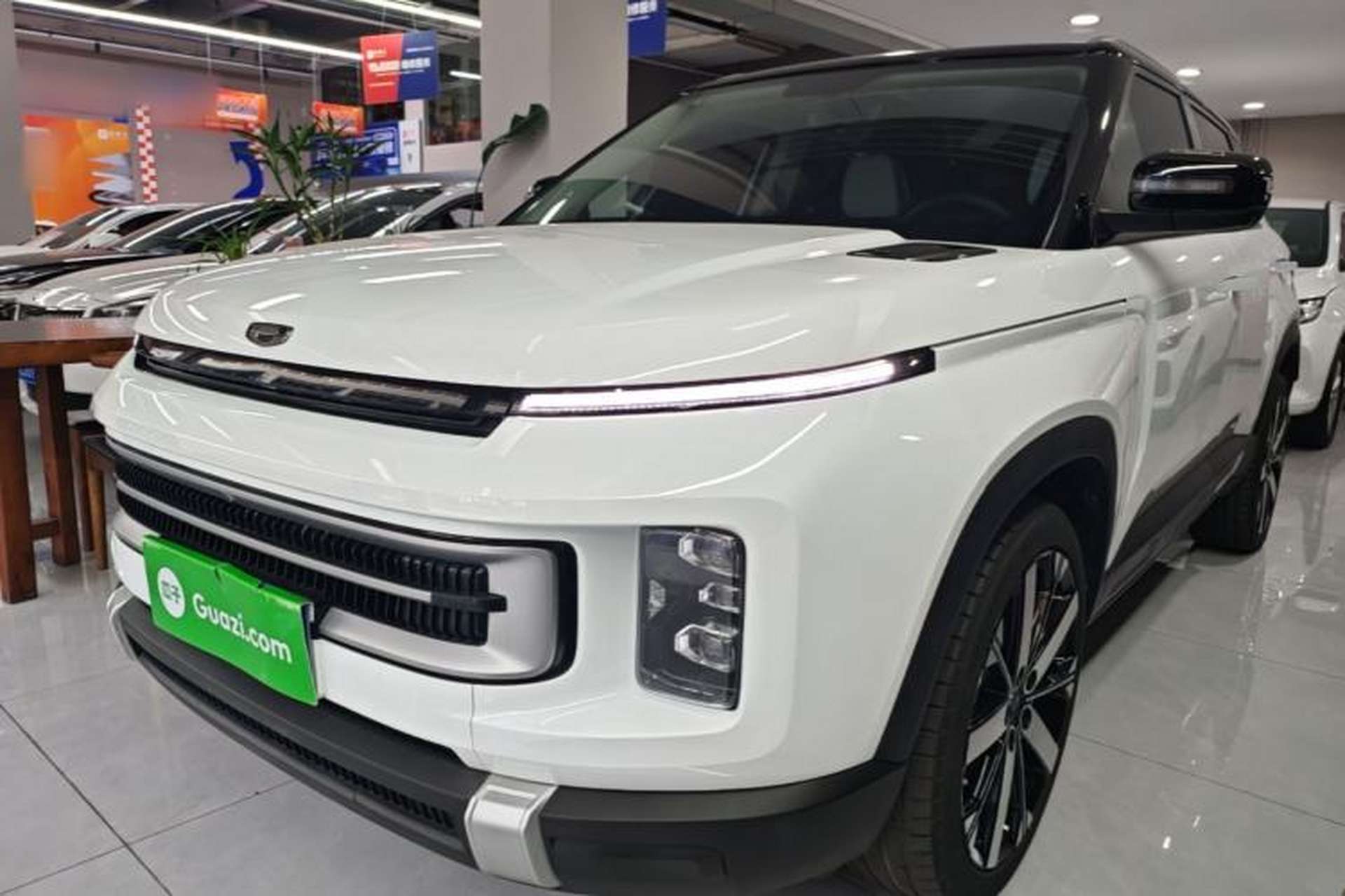 UK Buyer Calls the 2023 Geely Icon “Great Value for Money”