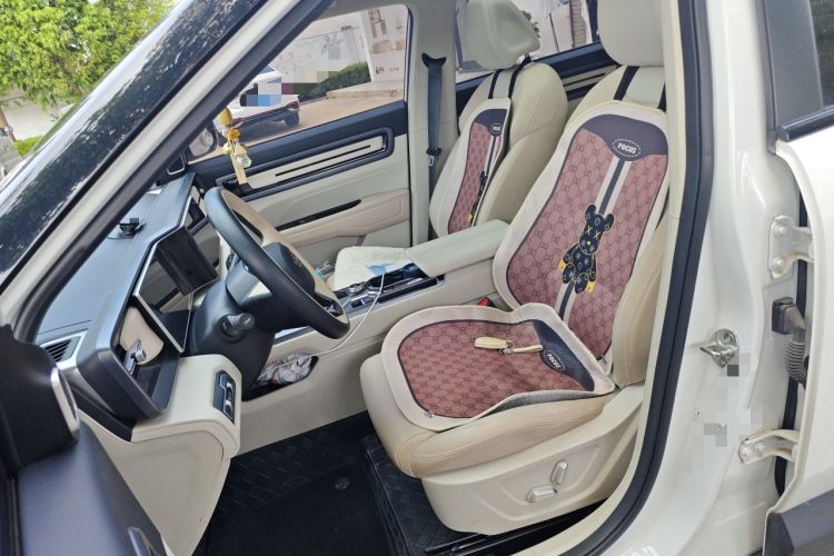 Used Geely Auto icon 2023 1.5TD Chocolate Smoothie Edition Left Front Seat