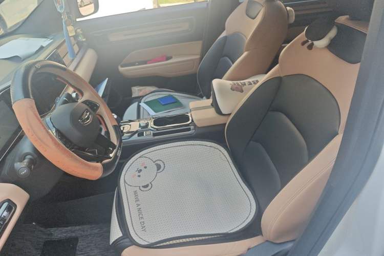 Used Geely Auto icon 2023 1.5TD Chocolate Luxe Edition Left Front Seat