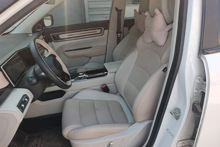 Used Geely Auto icon 2023 1.5TD Chocolate Smoothie Edition Left Front Seat