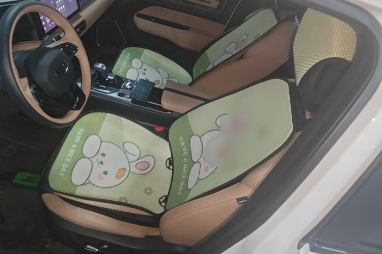 Used Geely Auto icon 2023 1.5TD Chocolate Smoothie Edition Left Front Seat