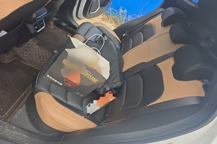 Used Geely Auto icon 2023 1.5TD Chocolate Smoothie Edition Left Rear Seat