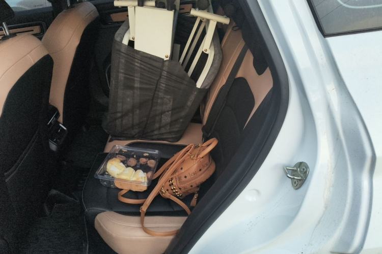 Used Geely Auto icon 2023 1.5TD Star Player Left Rear Seat